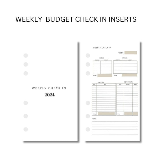 Weekly Budget Check In Insert